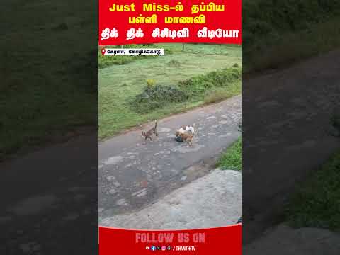 Stray dog || Schoolgirl || CCTV || Kerala || Kozhikode