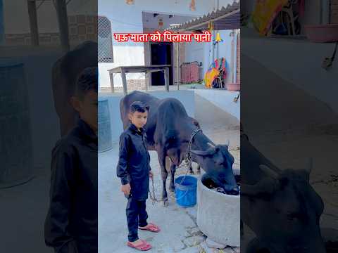 जय भोले की📿🙏 #bholenath #cow #haridwar #desibalak #viralvideo #reels #trending #shorts