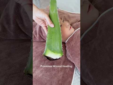 Aloevera 🌵🔪 EP_268 #naturebd1m #aloevera #naturel #skincareproduct