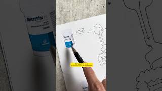 😱Así funciona el probiótico con la cepa BPL1 #sabiasque #salud