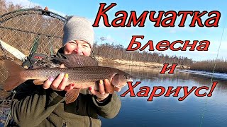 видео