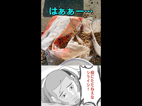 メダカ卵量産体制