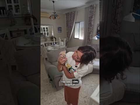 ¿Te has encontrado un gatito huérfano y no sabes cómo cuidarlo?Te hago un pequeño resumen 🐱