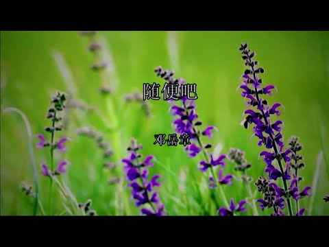 随便吧 (粤语版) 邓岳章-主唱 KARAOKE