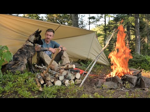 Overnight Bushcraft Camp with my NEW Dog-Wool Blanket, Tarp Shelter, Wild Blueberries.