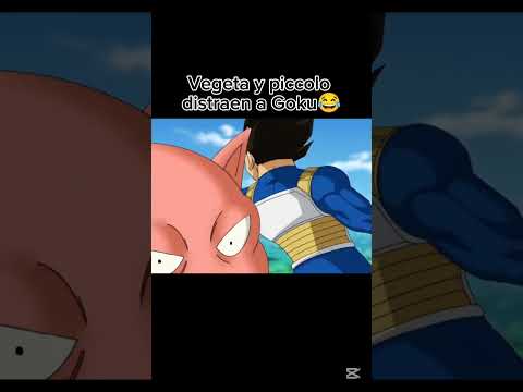 Vegeta y piccolo distraen a goku
