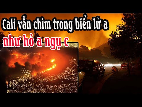 Cập nhật mới nhất: Cali vẫn chìm trong biển lử a như hỏ a ngụ c