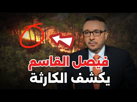 عاجل وخطير: فيصل القاسم يكشف هوية المتورطين في حرائق سوريا ويعلن المفاجأة الكبرى