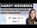 Hardy-Weinberg Principle Concepts