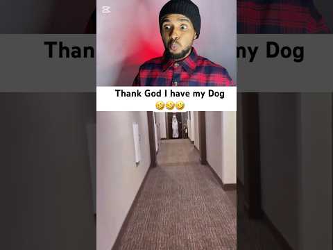 Use this sound 🤣