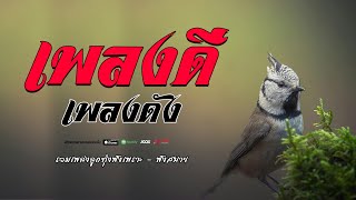 เพลงดีเพลงดัง ฟังเพลิน  -  รวมเพลงลูกทุ่งเพราะต่อเนือง