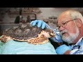 Dr. Mike's Aquarium Experience and Practices
