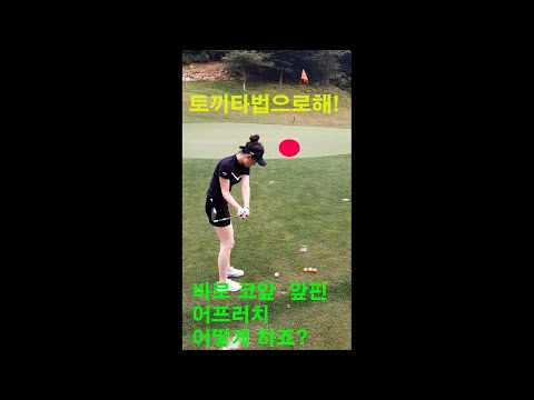 어프러치 앞핀상황 끝내주는 토끼타법이 있잖아요 #shorts