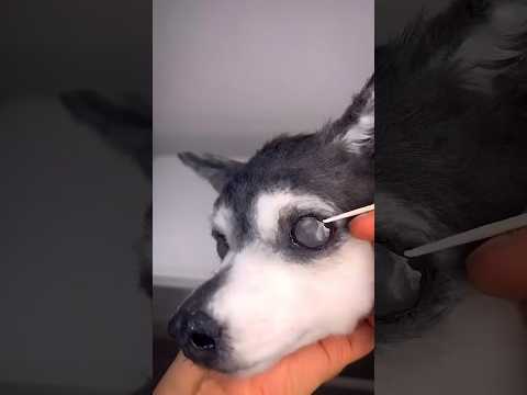 #dogcare