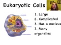 Characteristics of Prokaryotic and Eukaryotic Cells