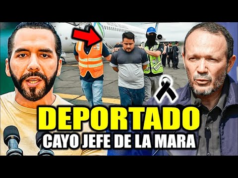 DIOS MÍO CAYÓ EL JEFE MAYOR DE LA MARA EN PLENO AEROPUERTO😱BUKELE PIDE PRISIÓN POR SIEMPRE