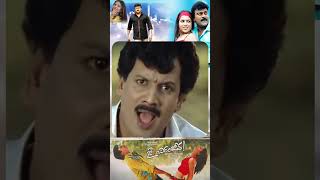 Jai Chiranjeeva మాస్ సీన్స్🔥|Chiranjeevi |Bhumika |Sameera Reddy | Brahmanandam Comedy &Action Clips