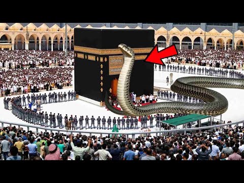 শবে কদরে মক্কায় হঠাৎ বিশাল এক সাপ..বিশ্বাস নাহয় দেখুন আল্লাহর কুদরত ।  Snake in Kaaba History Hajj