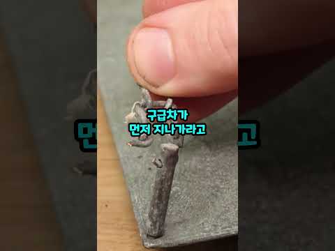 한국과 중국의 의식 수준 차이를 알게 된 외국인