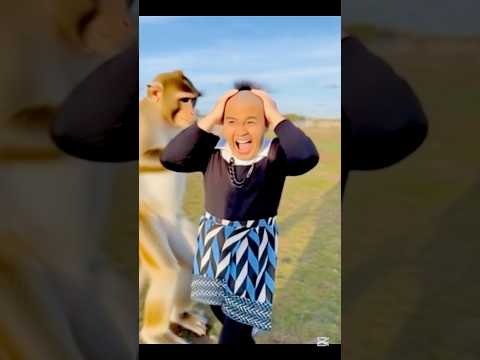 اخره الي يتنمر علي حد