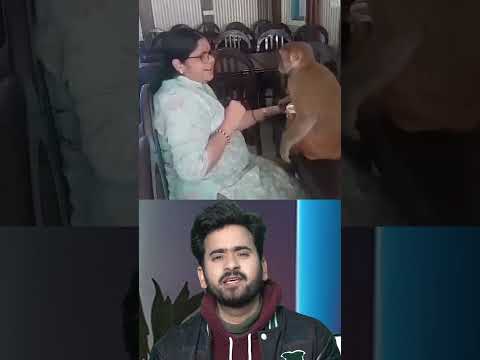 Viral video  🤯🙏😮     #mr.vikashlakhera #facts #sanatandharma #mahakumbh2025