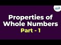 Whole Numbers: Operations and Properties