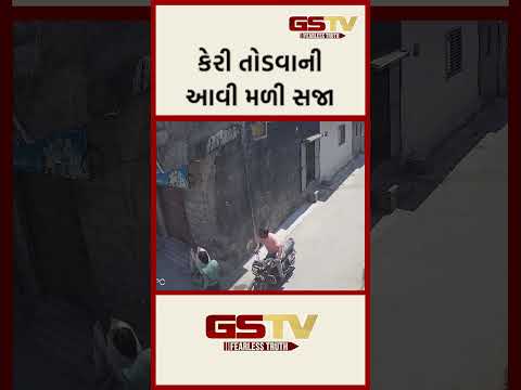 કેરી તોડવાની આવી મળી સજા