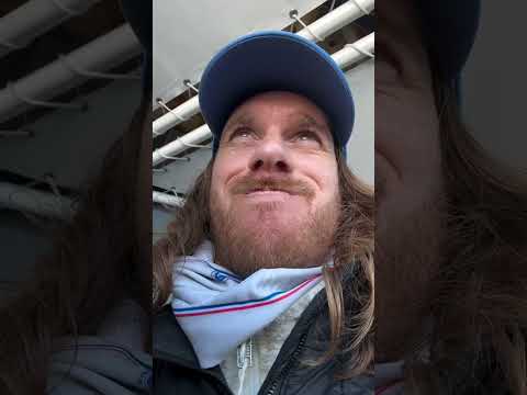 Views From Greenland 🐻‍❄️