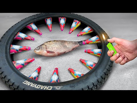 EXPERIMENT: FIREWORKS VS FISH