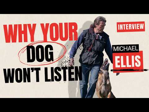 Stop Training Your Dog Until You Do This First!