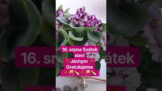 16. srpna 2026