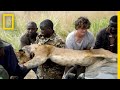 Wildlife Conservation and Challenges