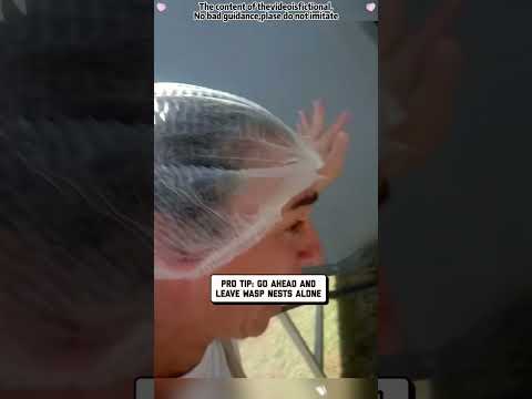 Wasp nest removal #funnytiktok #funnyy #hahahaha #prank #funnyprank #videos #tiktok #funnyvideo