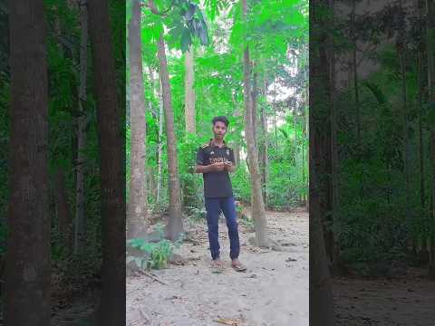 ফ্রিতে পিকনিক করার উপায় #funny #shorts #comedy #trending #trendingshorts #viralvideo #banglicomedy