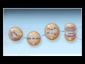 Mitosis vs Meiosis: Key Differences and Processes