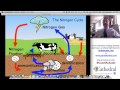 Biogeochemical Cycles and Processes