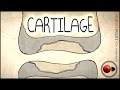 Cartilage and Its Repair Mechanisms