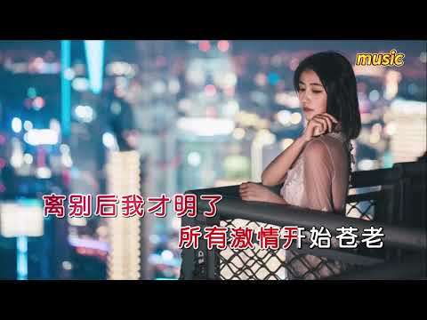 雲菲菲 《浪跡天涯DJ楓葉版 》KTV 伴奏 no vocal 無人聲 music 純音樂 karaoke 卡拉OK 伴唱雲菲菲 《浪跡天涯DJ楓葉版 》