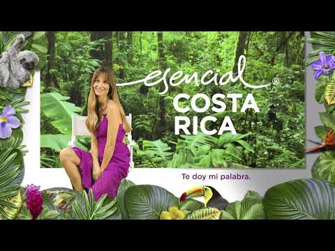 Un Viaje Essencial Por Ariadne Artiles Segunda Parte