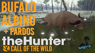 The Hunter - ALBINO E  MUITOS PARDOS - Búfalo D´Agua - Parque Fernando