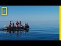 Exploring Baja California's Marine Life