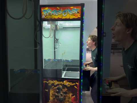 Solar Eclipse Claw Machine GONE WRONG! â ī¸ #shorts #solareclipse #arcade