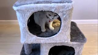Домик для белки