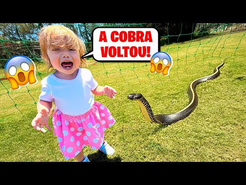 UMA COBRA GIGANTE APARECEU na NOSSA CASA! QUEM VAI SALVAR a NOSSA FAMÍLIA? Pai Também Vloga