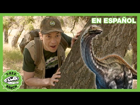 Jugando a las escondidas con dinosaurios 🦖 Videos de dinosaurios y juguetes para niños