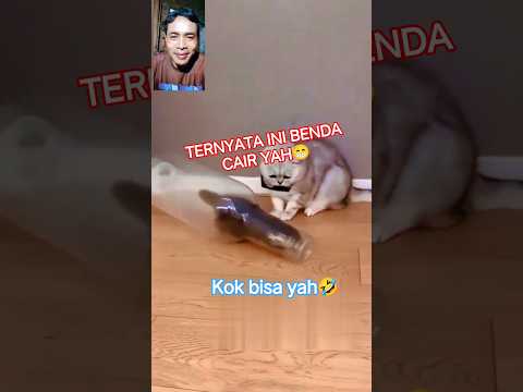 detik detik jin keluar dari botol🤣 #vidioshort