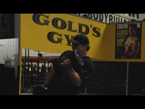 Arms at Golds Venice
