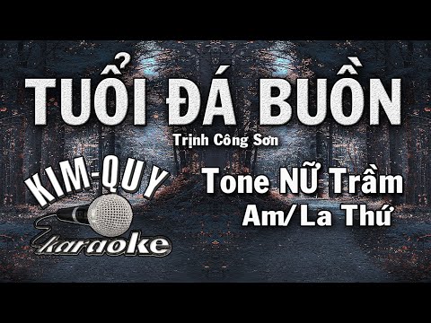 TUỔI ĐÁ BUỒN – KARAOKE – Tone NỮ Trầm ( Am/La Thứ )