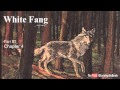 White Fang's Journey and Emotions