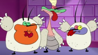 हिंदी Oggy and the Cockroaches 🤕 तिलचट्टों का सबसे बड़ा दुश्मन Hindi Cartoons for Kids